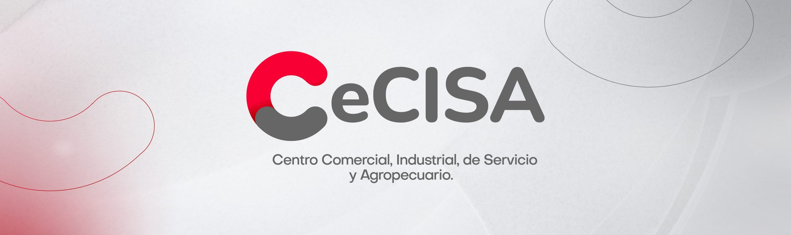 CECISA_BANNERS_Mesa de trabajo 1